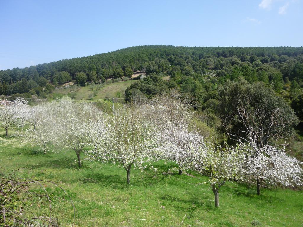 Agriturismo Ticci Seulo Экстерьер фото