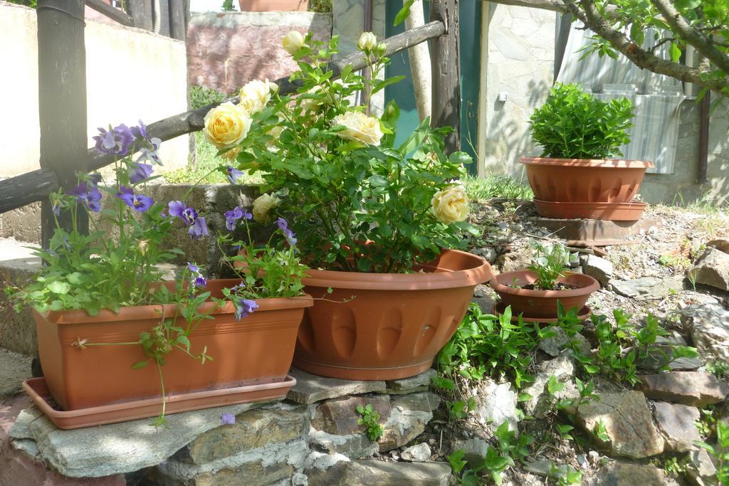 Agriturismo Ticci Seulo Номер фото