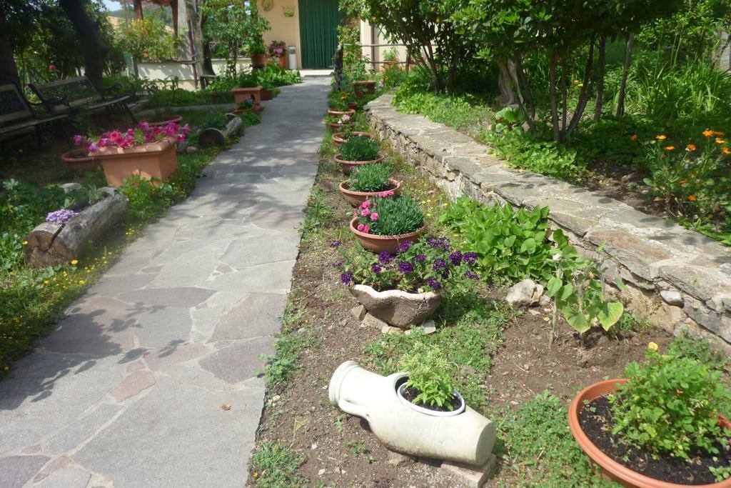 Agriturismo Ticci Seulo Экстерьер фото